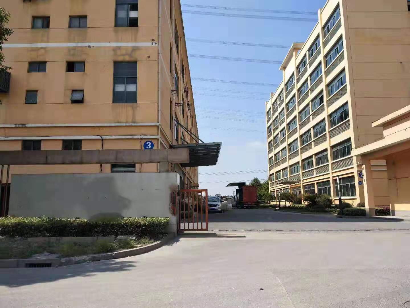 21.jpg 21.jpg